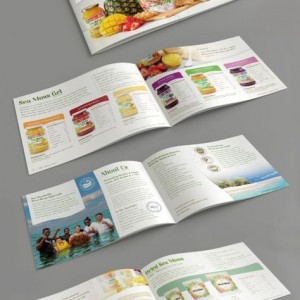 In Catalogue IC03