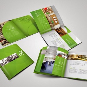 In Catalogue IC10